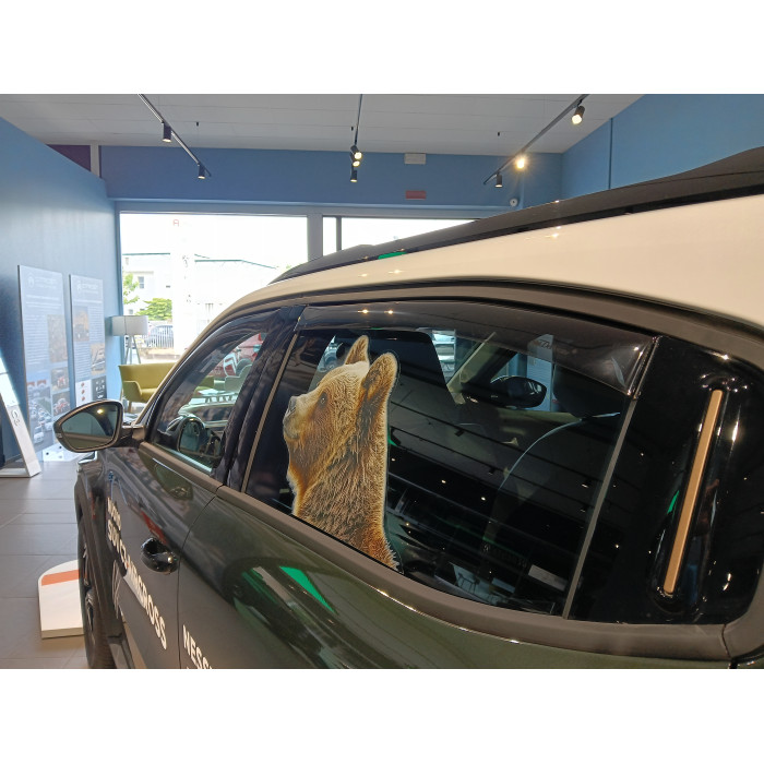 Deflettori D'Aria Farad Per Citroen DS4 5 Porte 2022 - Porte Anteriori, Montaggio Senza Attrezzi